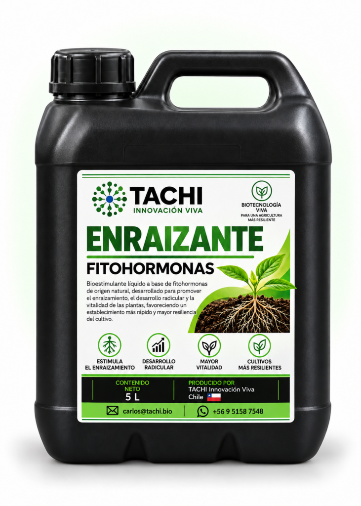 Bidón negro TACHI Enraizante Fitohormonas de 5 litros